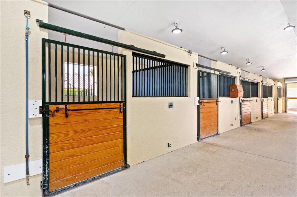 SADDLE TRAIL PARK OF WELLINGTON - Residential