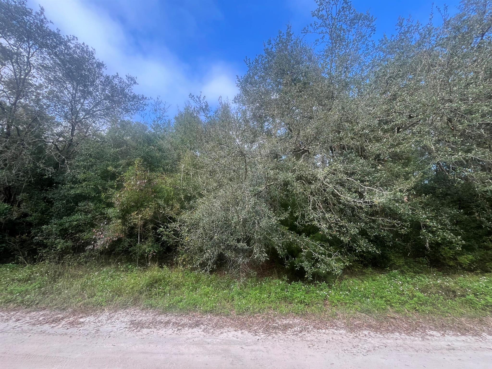 Build your dream house on this beautiful one-acre lot in desirable Rolling Ranch Estates with No HOA. New and existing homes already in the area waiting for your home to be built. Electricity nearby making it easy to access power. Quiet neighborhood but minutes from shopping, doctors' office, and restaurants in historic Dunnellon. The property is minutes from Rainbow Springs State Park where you can swim, snorkel, kayak, hike on nature trails, and bike ride. Lake Rousseau is nearby which is known for their bass. Not far from The New world Equestrian Center. Only 20 minutes to Crystal River & Gulf of Mexico, Inverness, and Ocala. This lot is listed below market value. Buying Land in Florida is a solid investment for your future, build your dream home, vacation home,