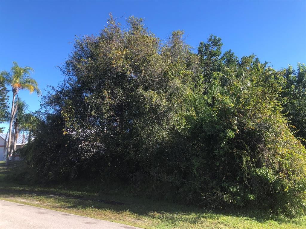 Photo of 2319 SE Patio Circle, Port St Lucie, FL 34952 (MLS # R10857235)