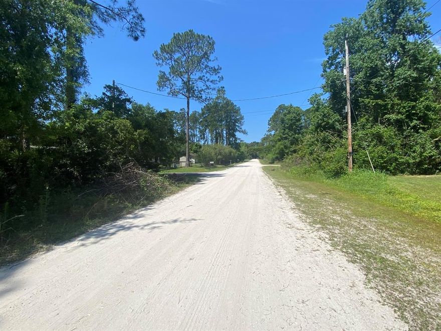 Don't Miss out on this High and dry double lot. Looking to purchase your dream property in Florida, look no further. This lot is listed below market value! Buying Land in Florida is a solid investment for your future, build your dream home, vacation home, rental investment or let the land build value as a great long-term investment to resell for a future profit. Owner Financing Available This listing is for 2 - 1/4 acre lots