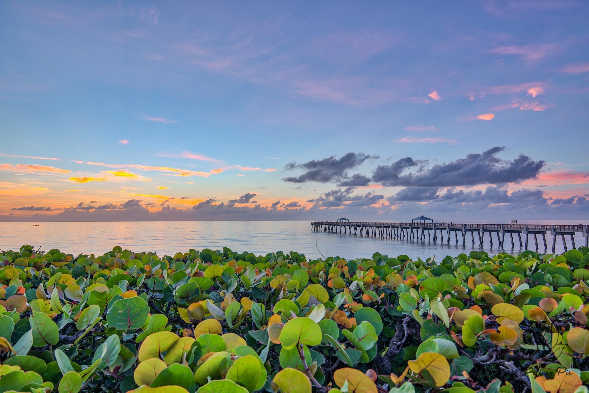 CAPTAINS KEY - Residential