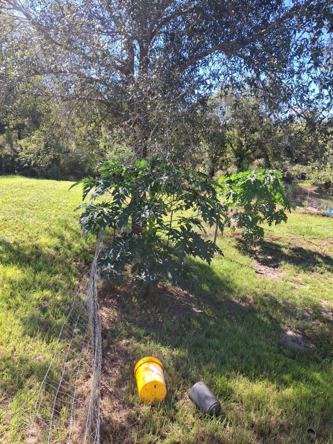 Viking Prairie - Residential