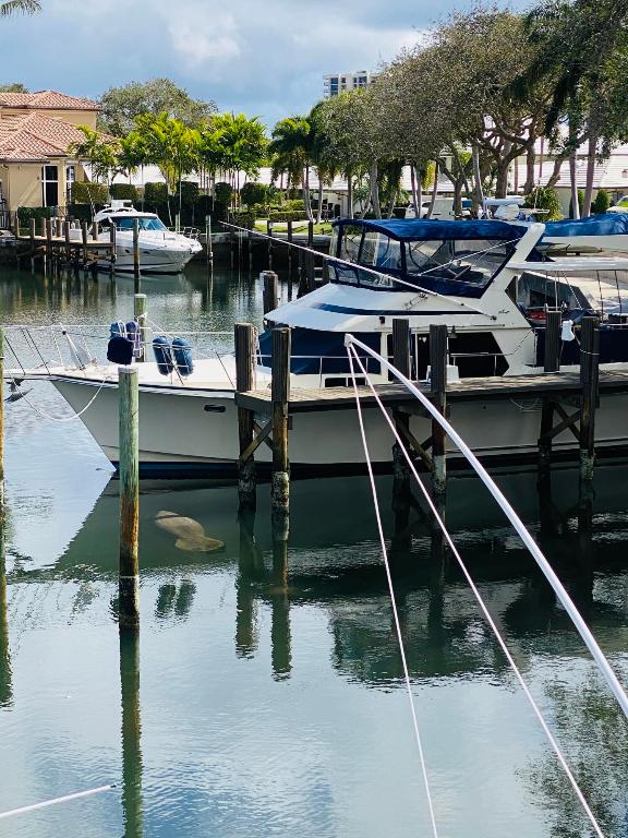 Boca Marina Yacht Club - Residential
