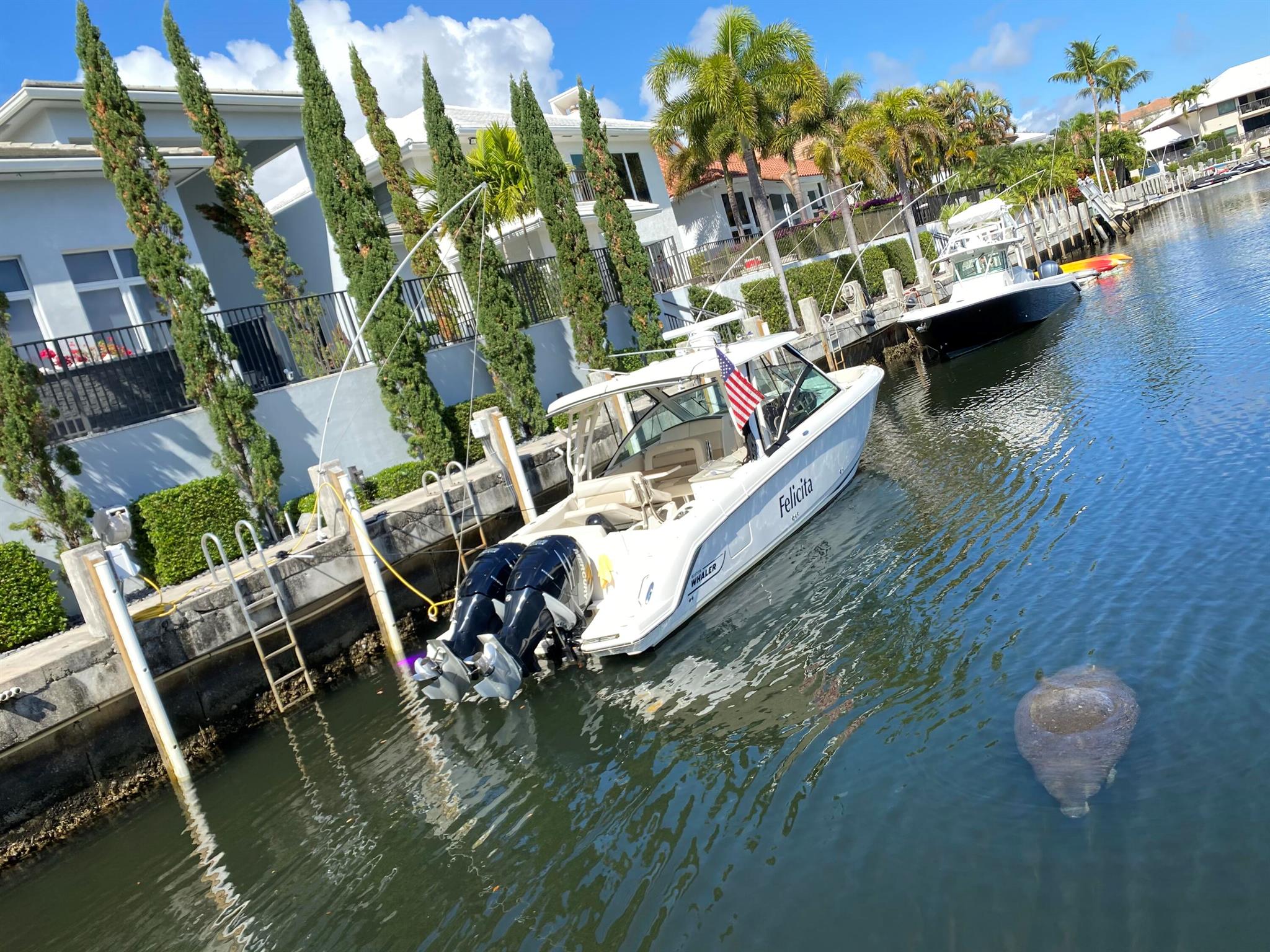 Boca Marina Yacht Club - Residential