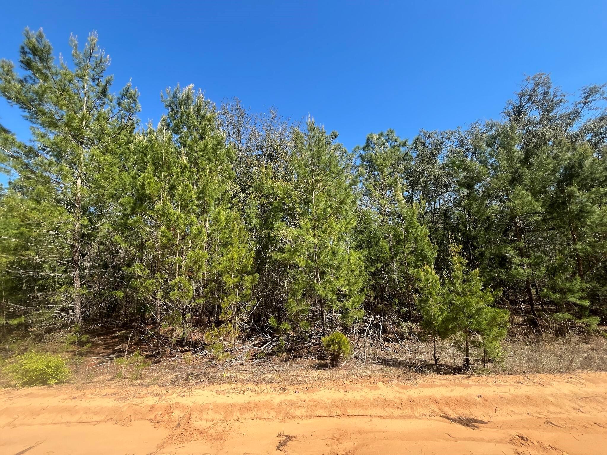 Do not miss out on this oversized 1.08-acre high and dry lot in the growing city of Interlachen. Located within minutes of schools, restaurants, diners, and parks. An easy commute to Gainesville or Palatka and less than an hour from the beach. Investing in land in Florida is a wise choice for your future, whether you're looking to build your dream home, a vacation getaway, a rental property, or simply let the land appreciate as a valuable long-term asset to resell at a profit in the future. For directional purposes use 116 Neisman ave