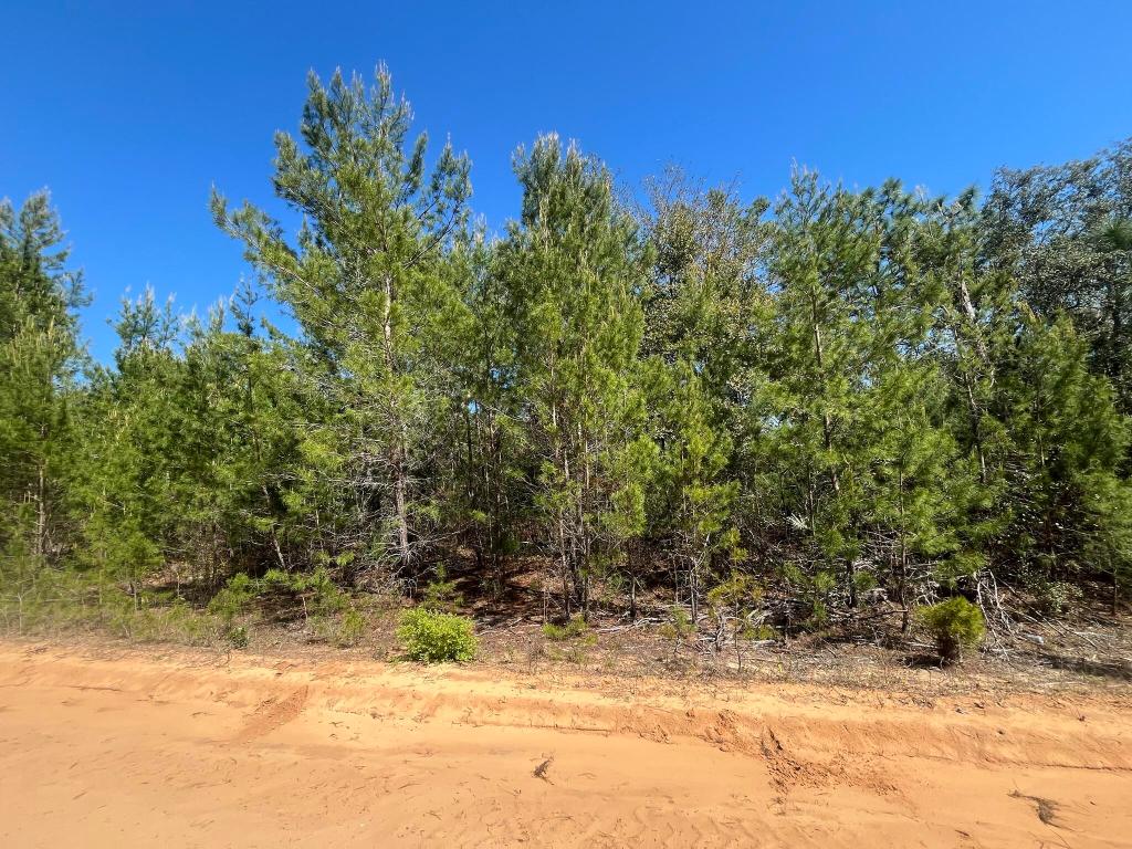 INTERLACHEN LAKES ESTATES - Land