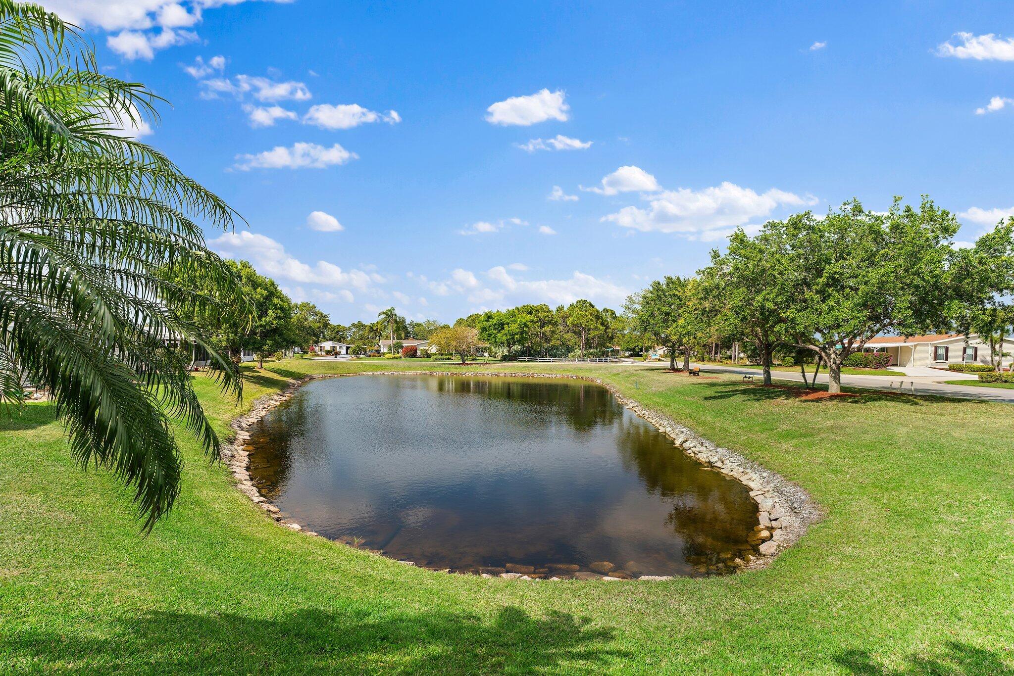 EAGLE'S RETREAT AT SAVANN - Residential