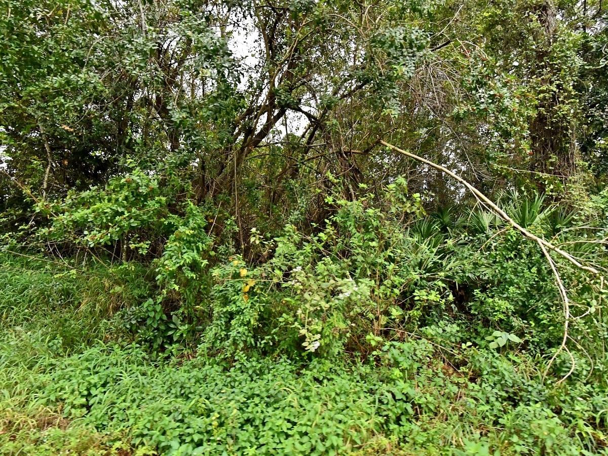 Sunland Gardens - Land