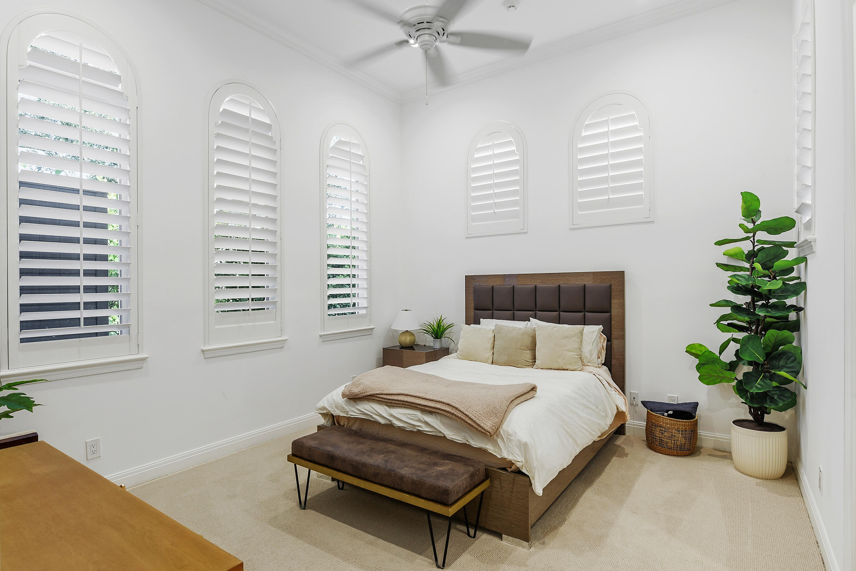 OLD PALM - Residential