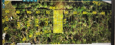 27196 Knollwood Court Punta Gorda FL 33982