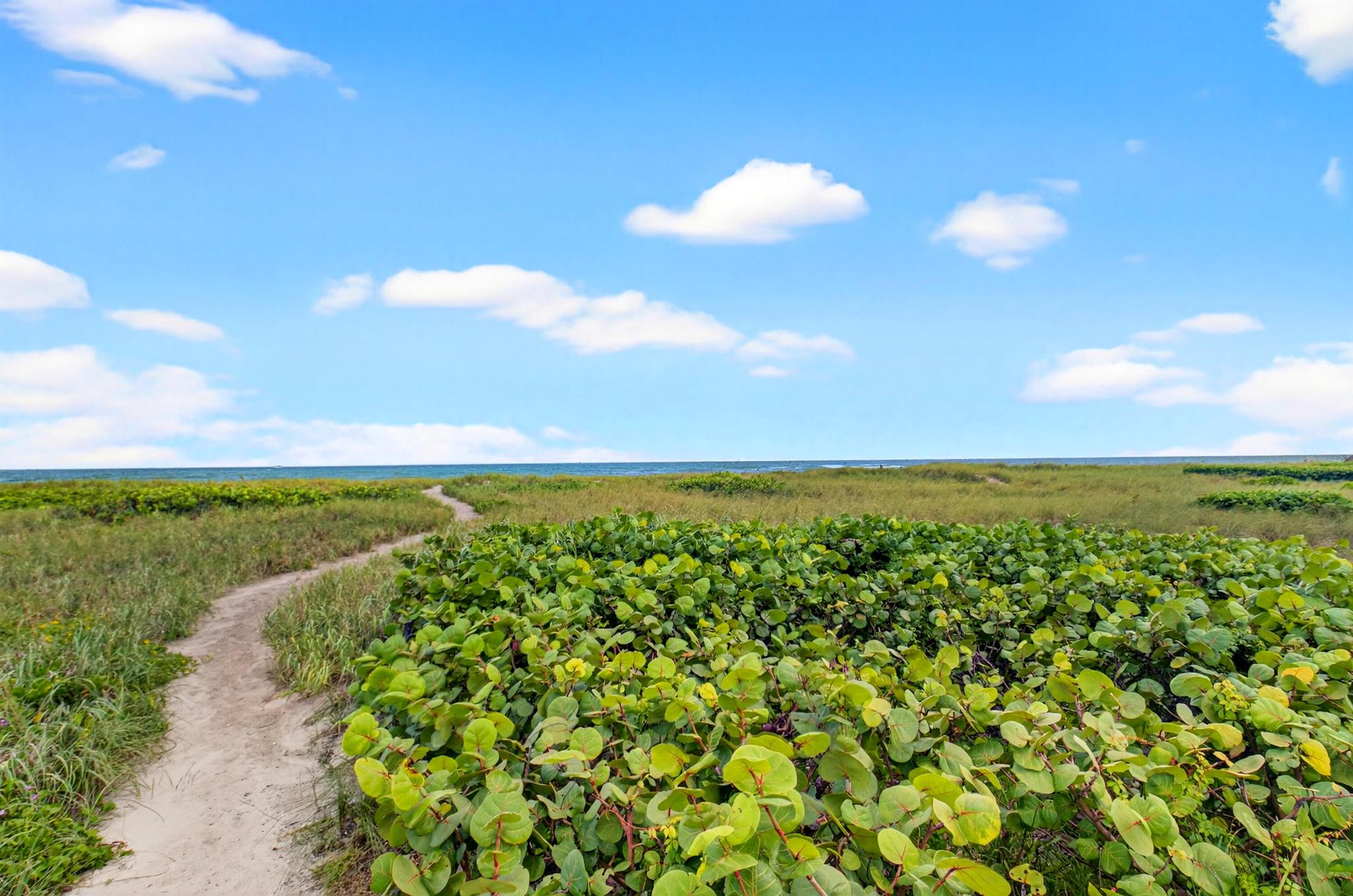 SOUTHAMPTON - Residential Lease