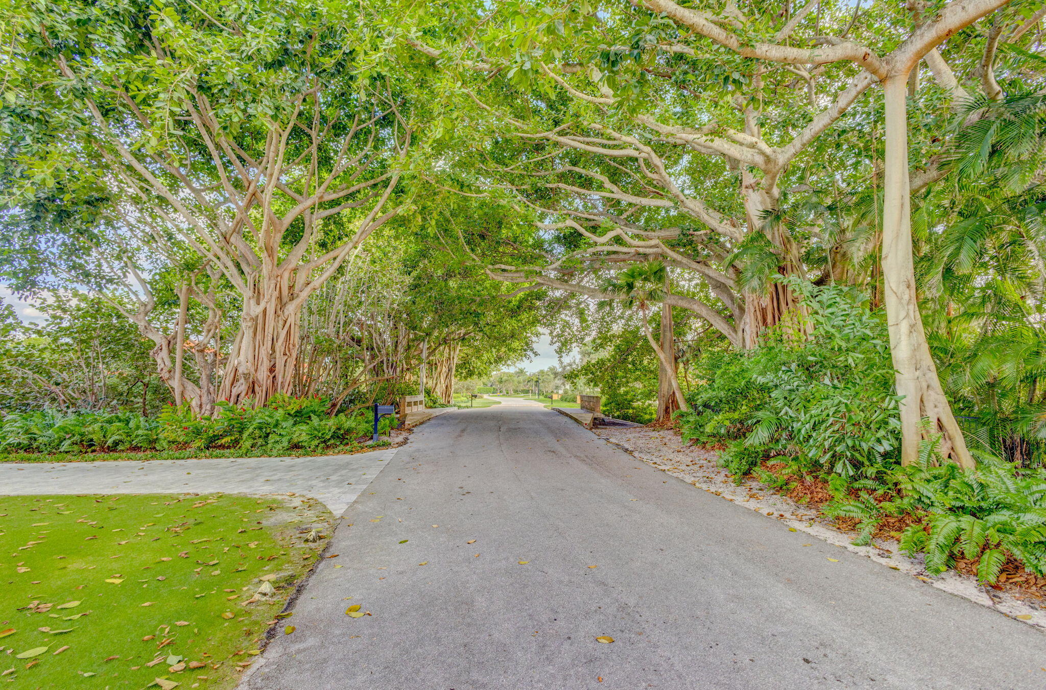 SEMINOLE LANDING - Residential