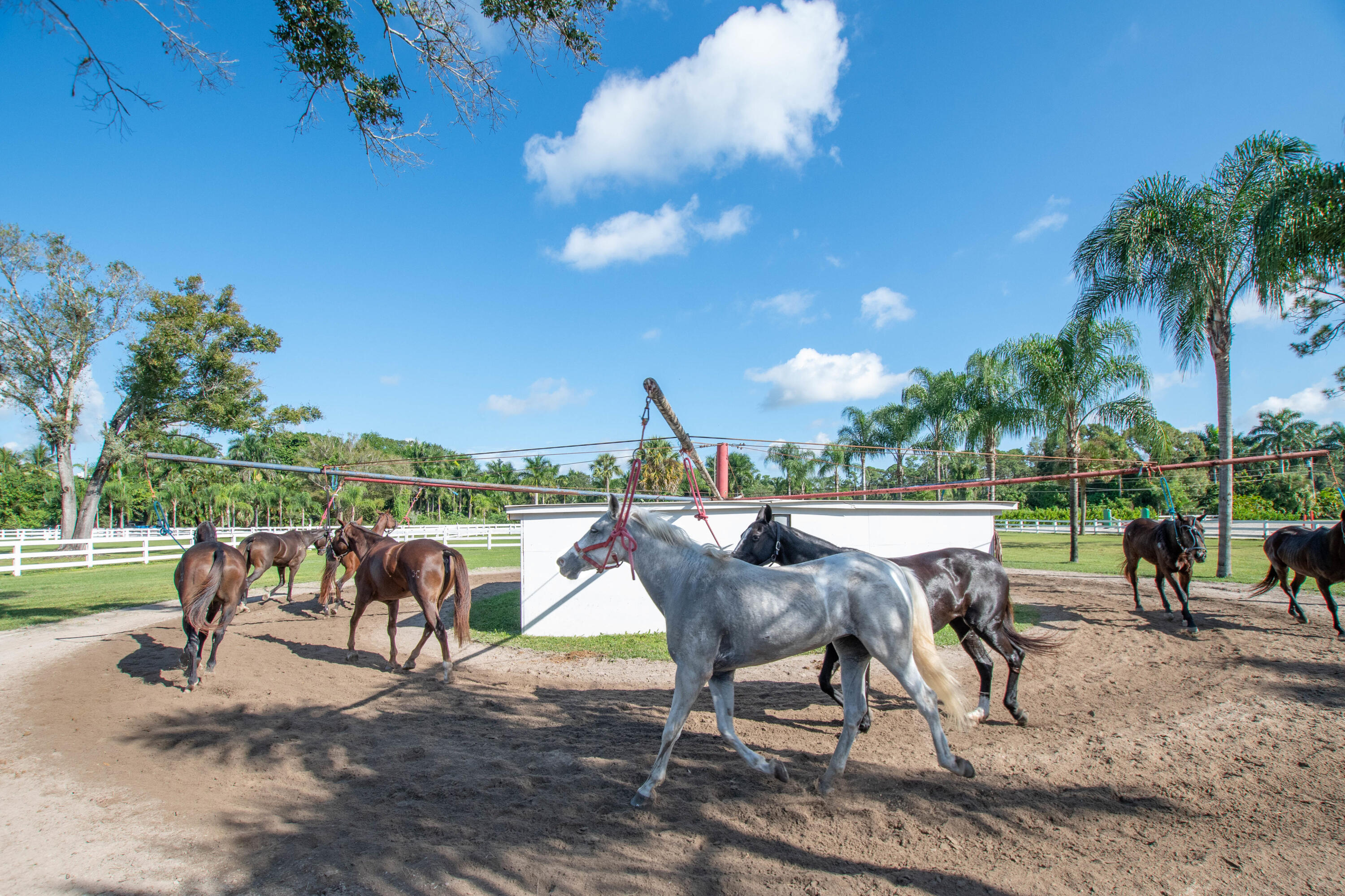 LOXAHATCHEE GROVES - Land