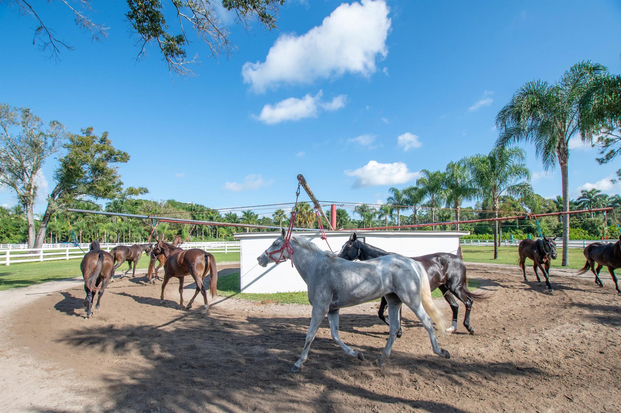 LOXAHATCHEE GROVES - Land