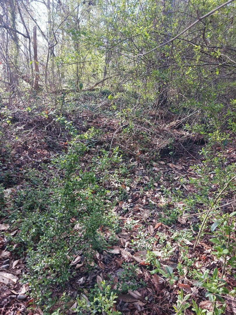 FLORIDA HIGHLANDS - Land