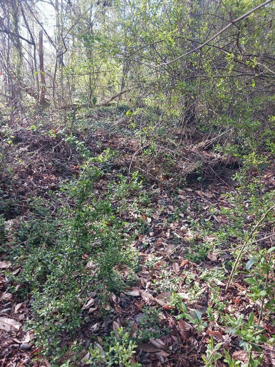 This 1.25 acre property is ready for your private estate.