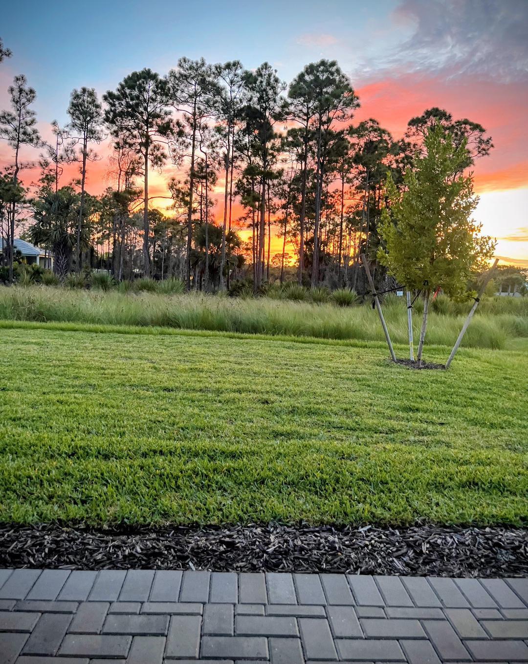 COVE ROYALE PUD PHASE 1 - Residential