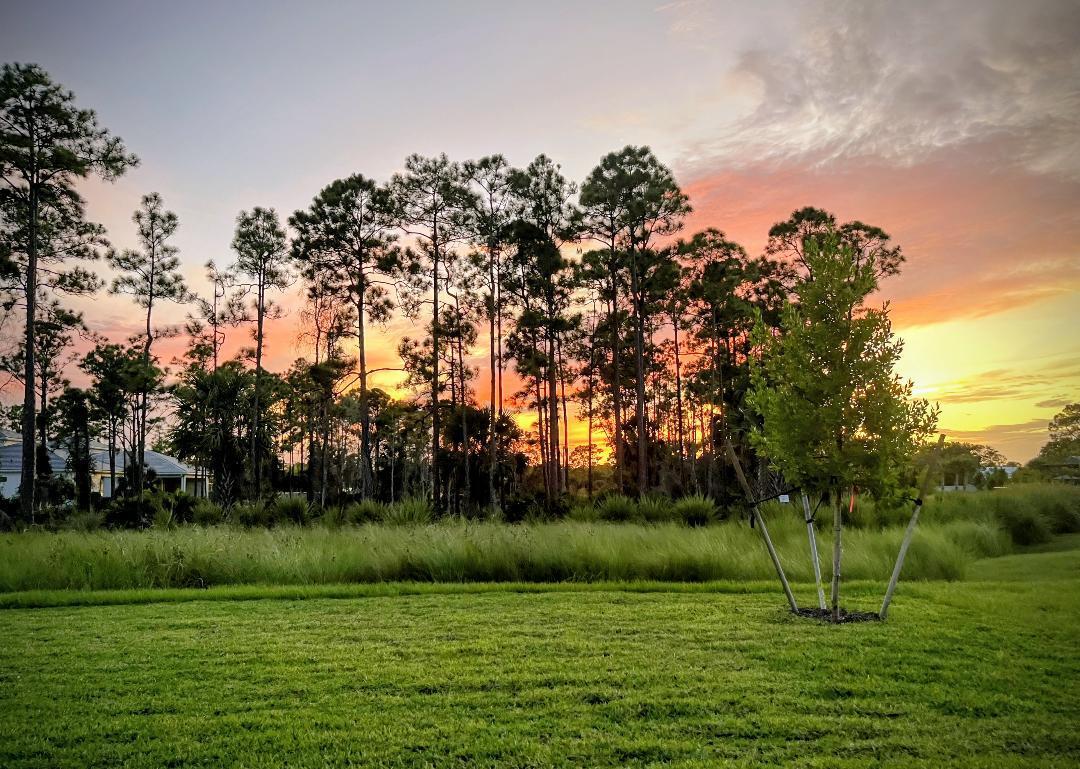 COVE ROYALE PUD PHASE 1 - Residential