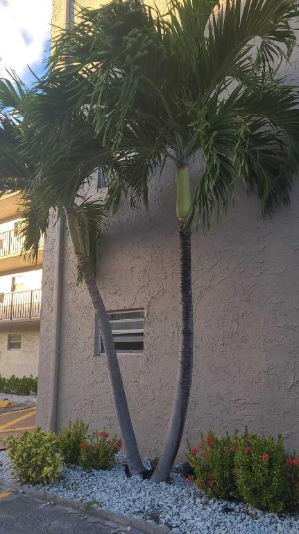 Lakeside Village - Residential Lease