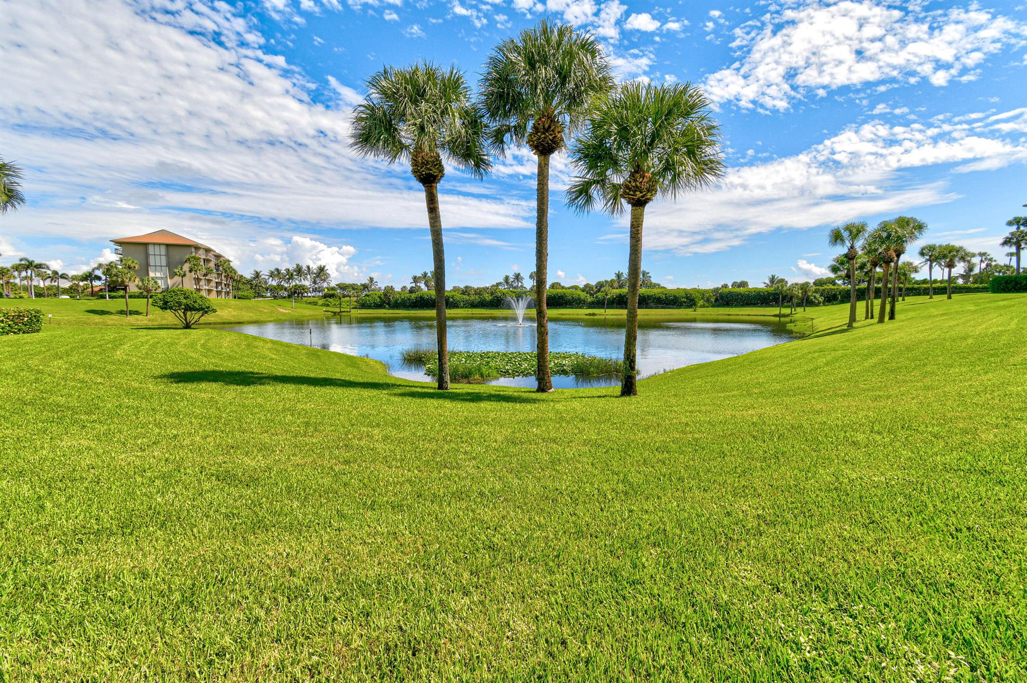 OCEAN AT THE BLUFFS SOUTH - Residential