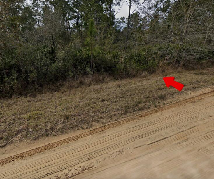 INTERLACHEN LAKES ESTATES - Land