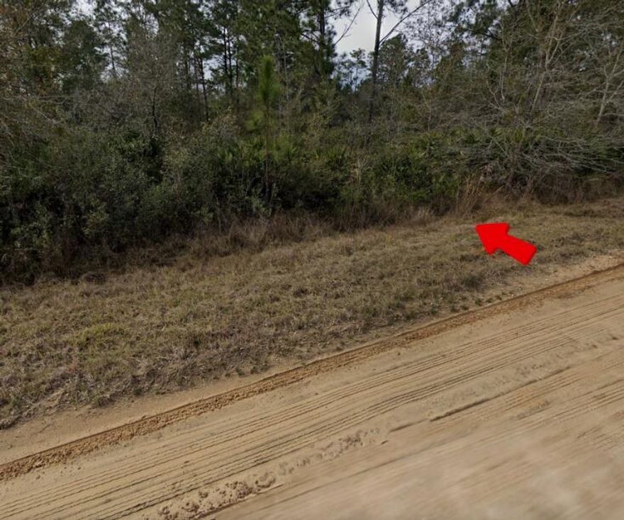 Owner Financing is available! offering the perfect canvas to design your ideal lifestyle. With plenty of room for a generous home this parcel gives you the space and flexibility to create the private retreat you've always wanted. Enjoy peaceful surroundings and the freedom to bring your vision to life, all with the added privacy and curb appeal off this location. Don't miss this opportunity to build in a serene setting with room to grow!