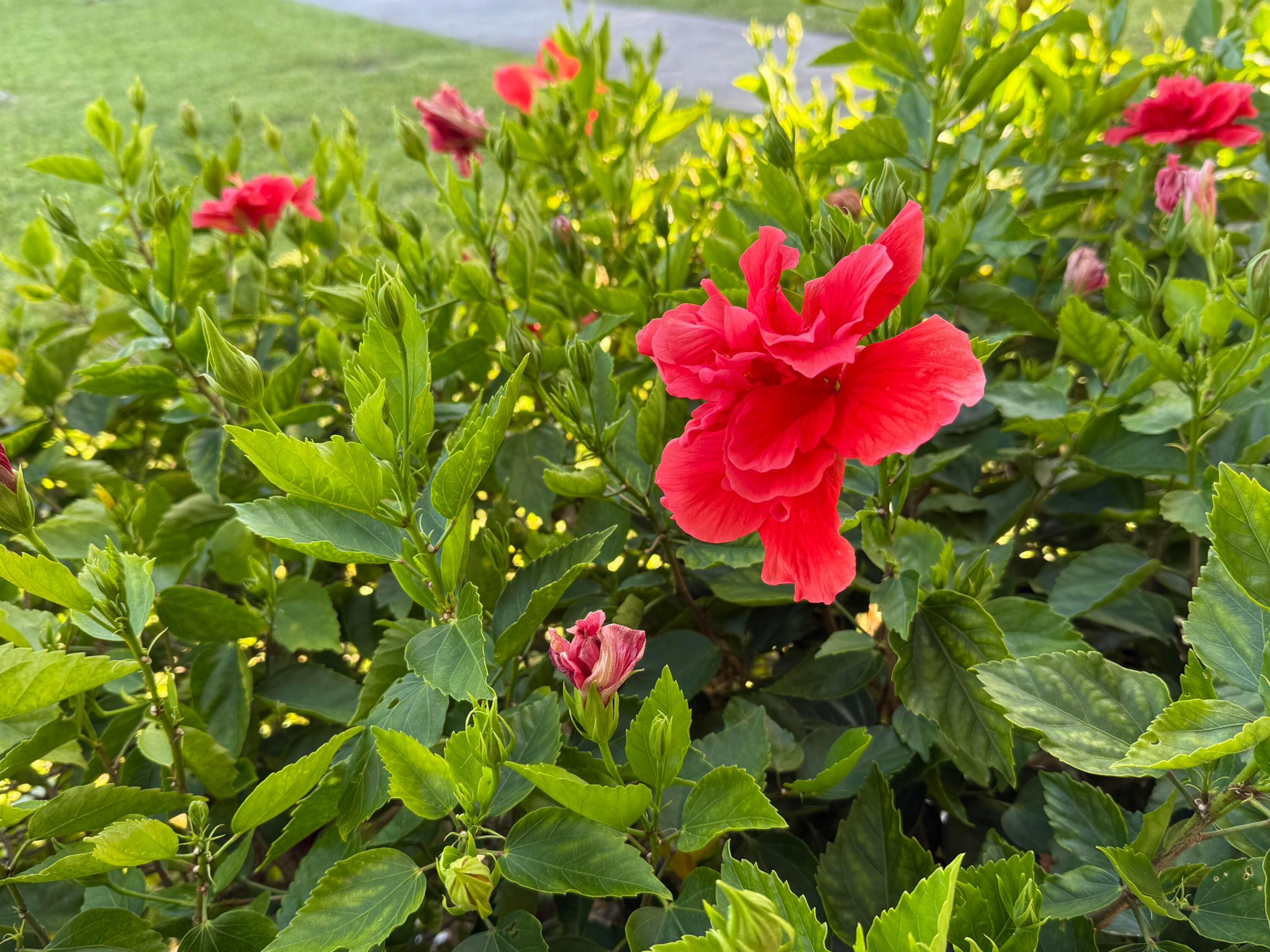 Century Village- Camden Condos - Residential