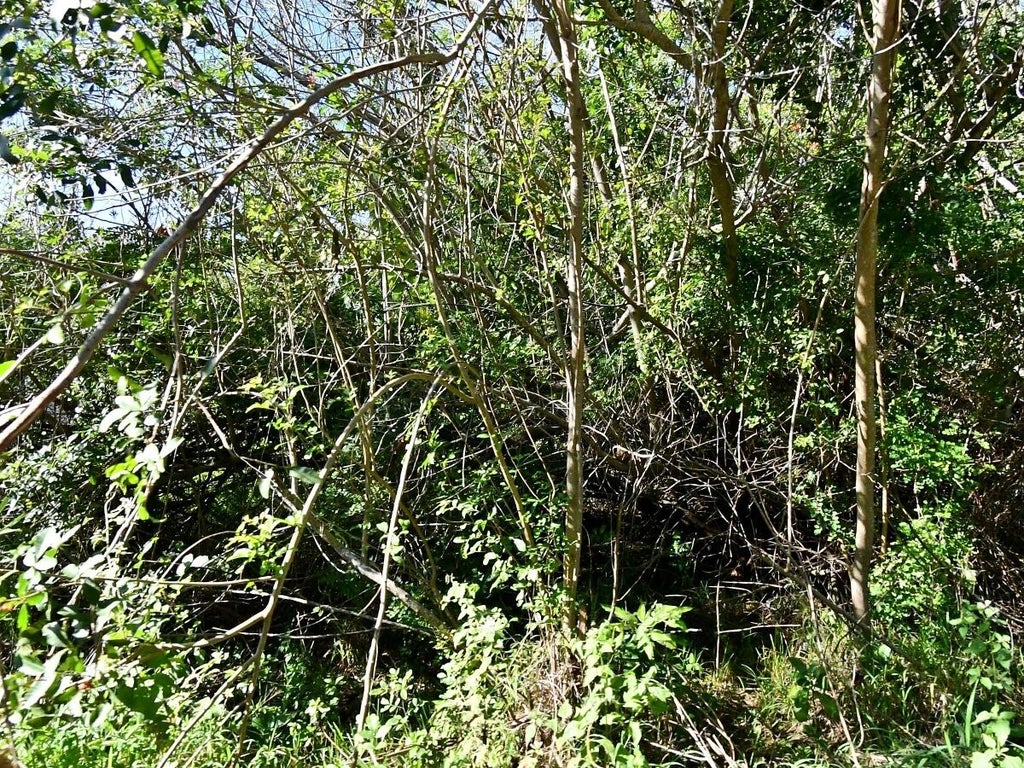 Photo of 2115 S 33rd Street, Fort Pierce, FL 34947 (MLS # B26039362)