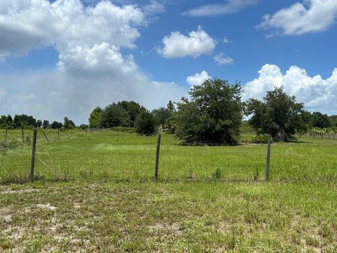 Single Family Residence in Okeechobee FL 15155 256th St St 19.jpg