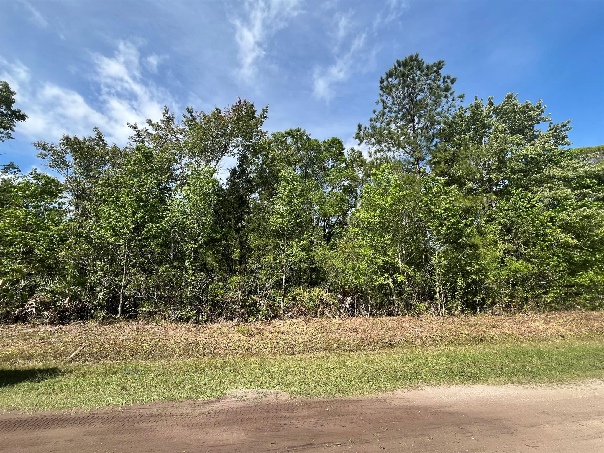 Don't miss out on this beautiful high and dry 1.14 Acre lot in Flagler Estates with pines, saw palmetto and a mix of other trees. Located on a quiet street with No immediate neighbors. Power poles on the street making power readily accessible. Many newer mobile homes in the area. Convenient to Palatka, Palm Coast, St. Augustine, The ST. JOHNS RIVER, camping, FISHING, & only about 20 minutes from Crescent BEACH. Site built, modular, mobile homes & horses OK. The open rural zoning also allows for a variety of uses including some homebased businesses. Open Rural zoning and NO HOA means you can keep your RV, boat, ATV, or work truck at home.