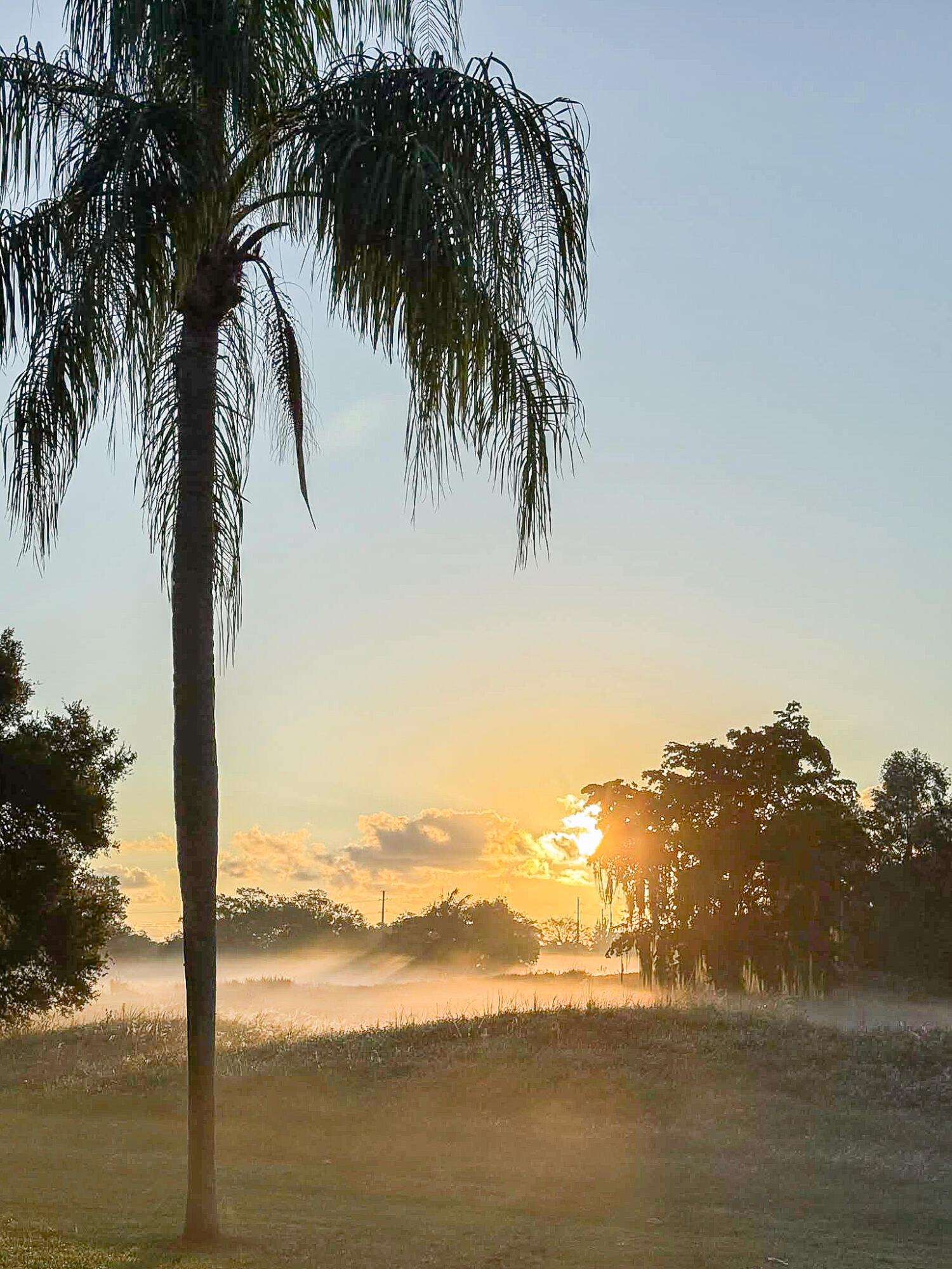 HILLS OF INVERRARY - Residential