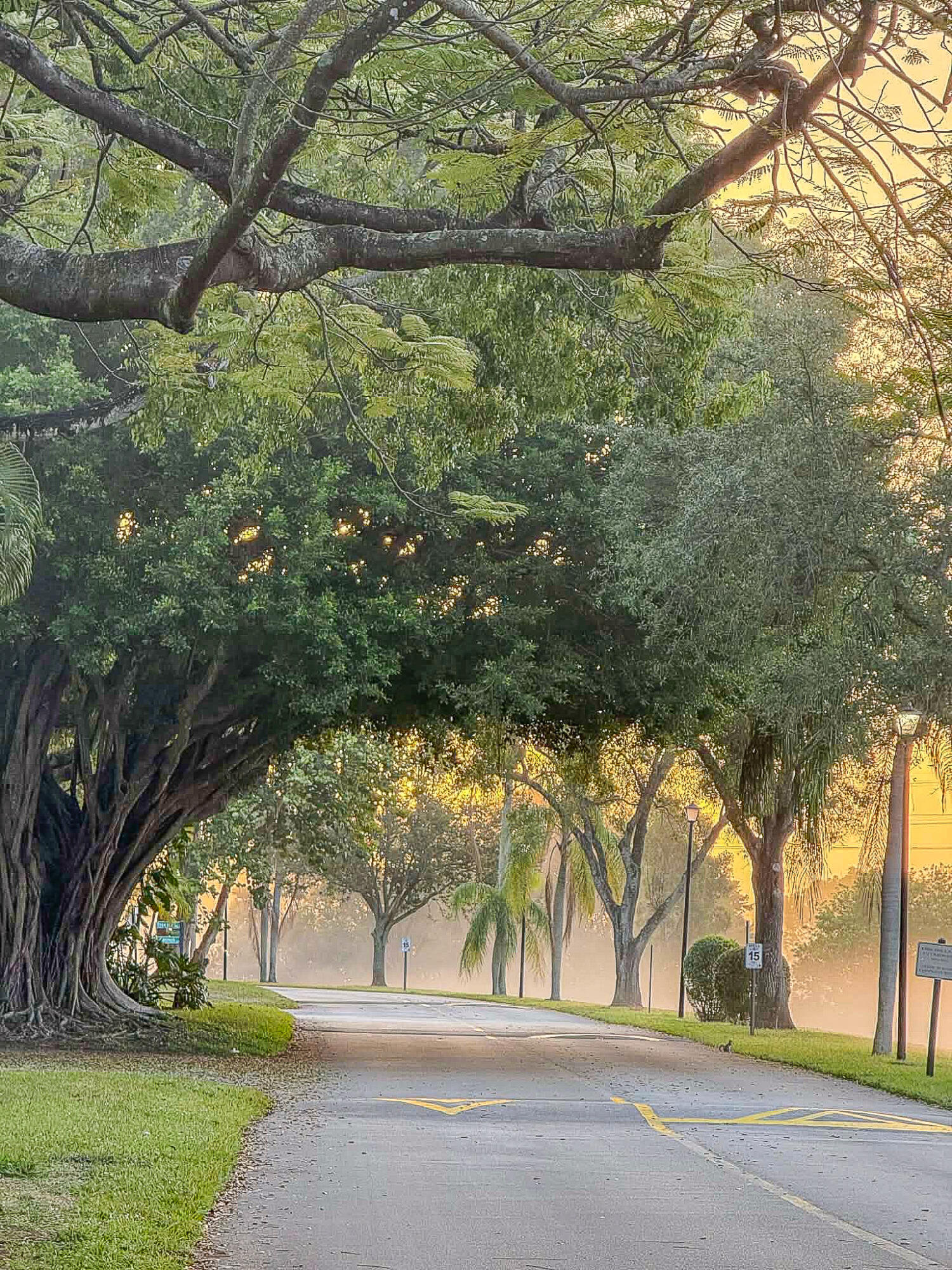 HILLS OF INVERRARY - Residential