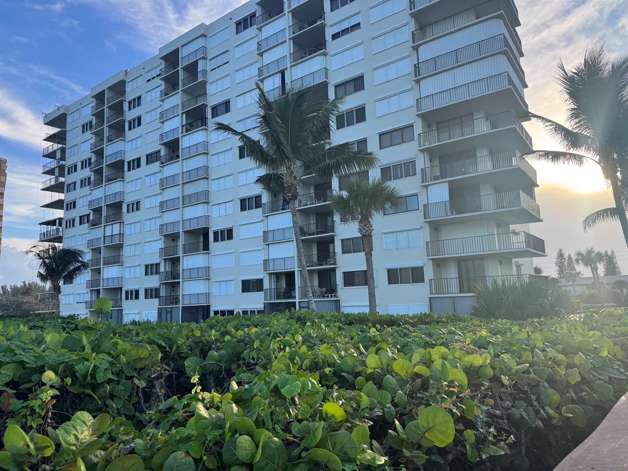 OCEAN HARBOUR SOUTH CONDO - Residential