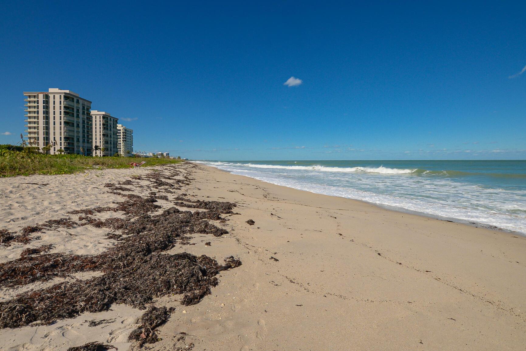 OCEAN HARBOUR SOUTH CONDO - Residential