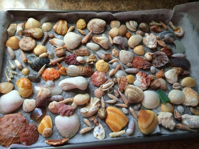 STERLING VILLAGE 450 COND - Residential