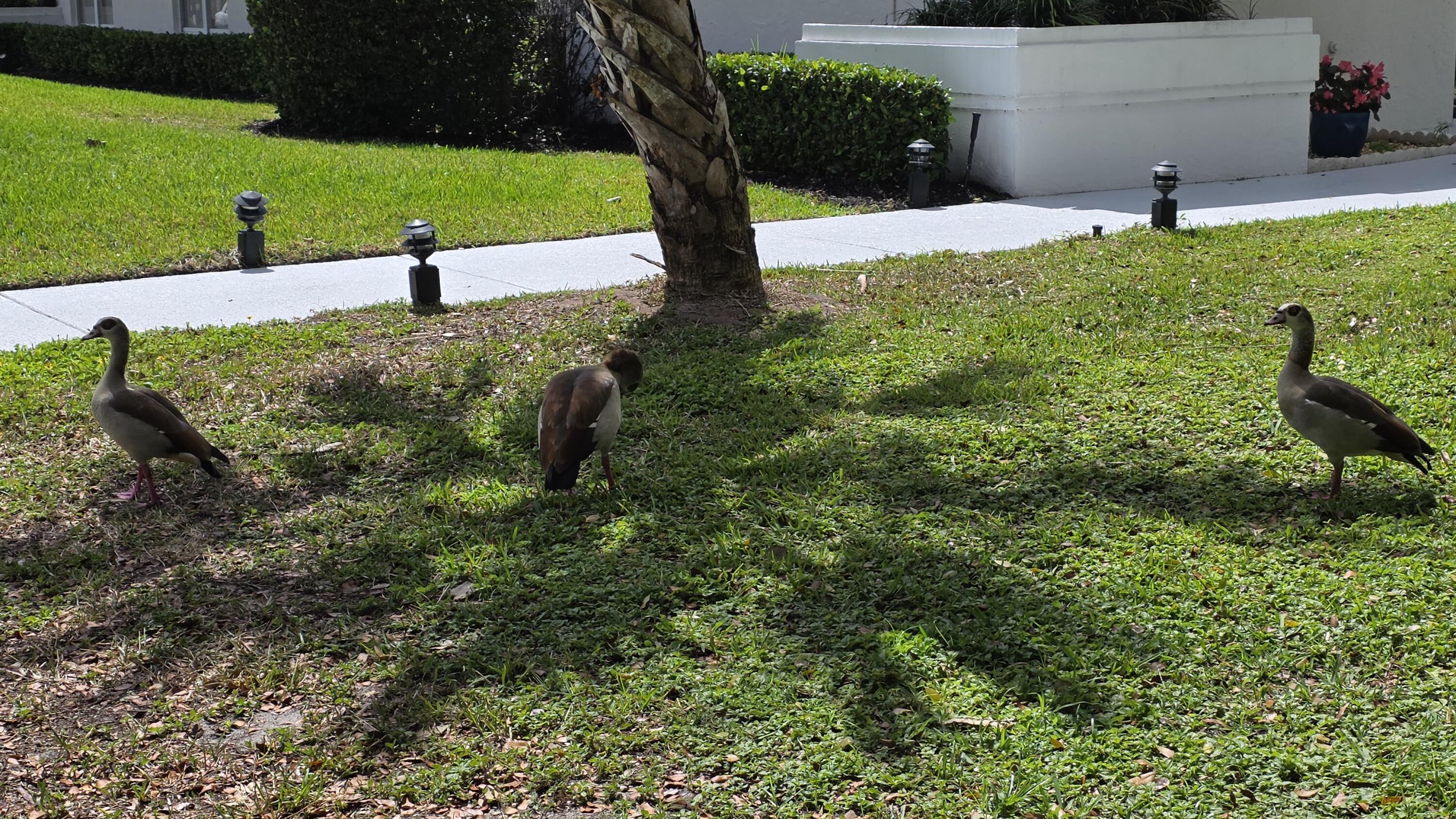 PINE RIDGE AT DELRAY BEACH - Residential