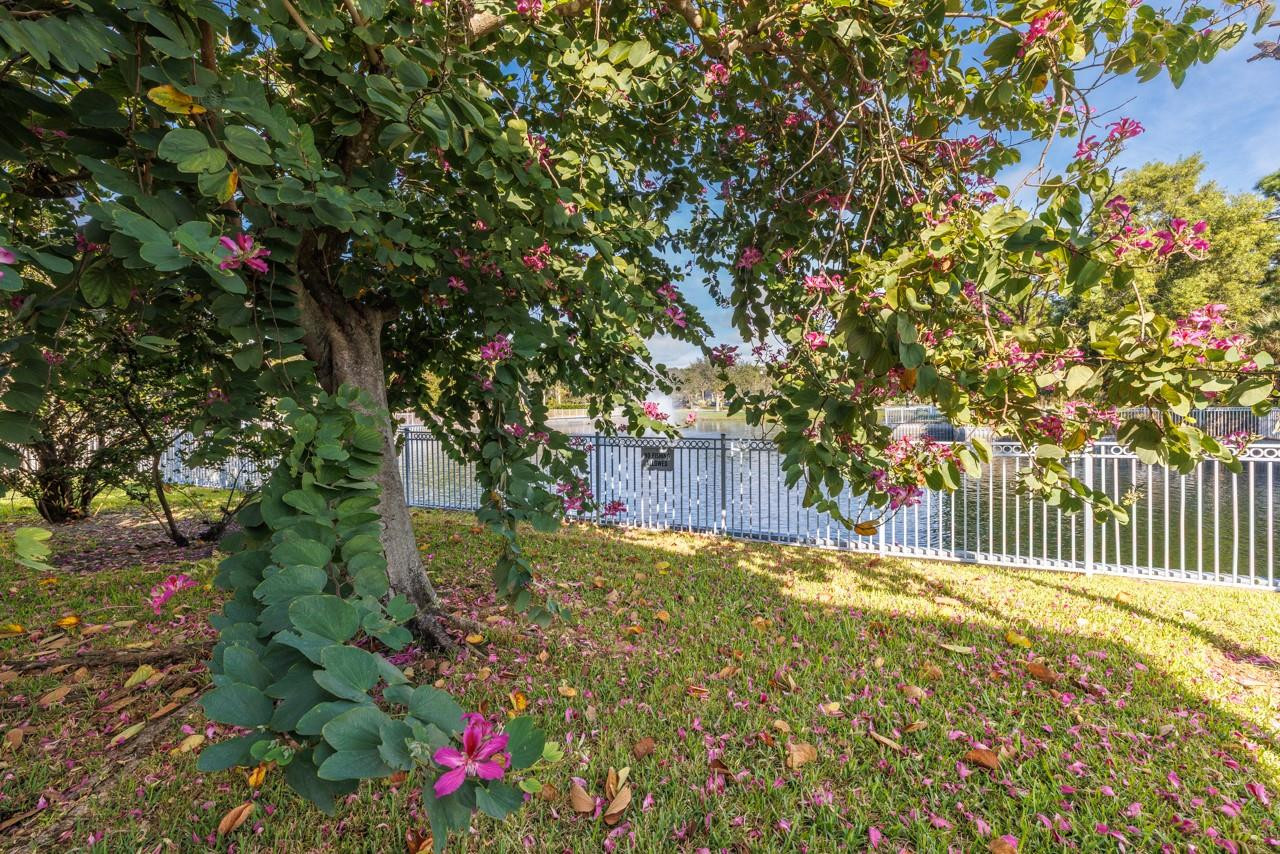 Vilabella - Residential