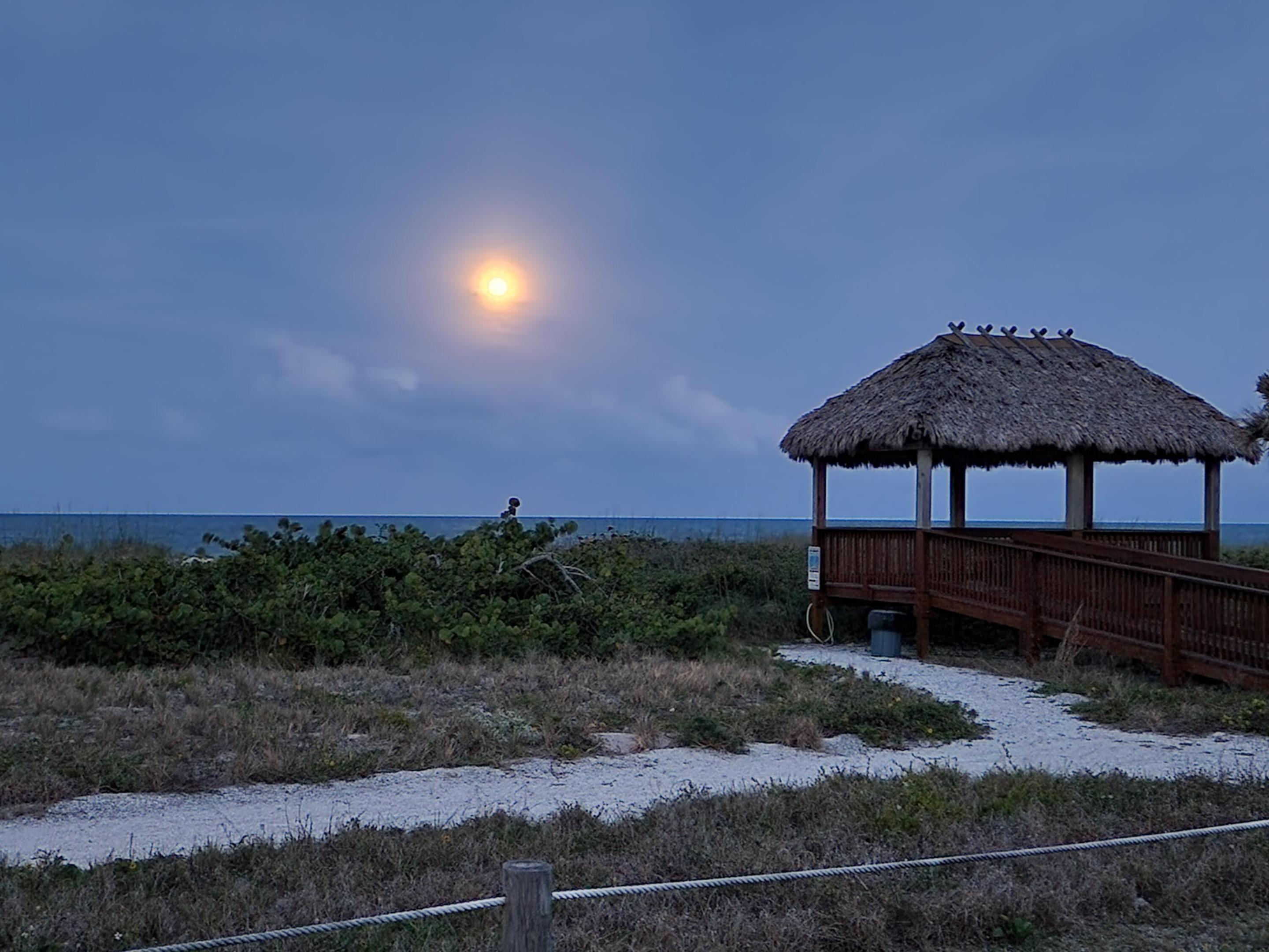 OCEAN HARBOUR NORTH PRIVATE BEACHFRONT AND MARINA - Residential