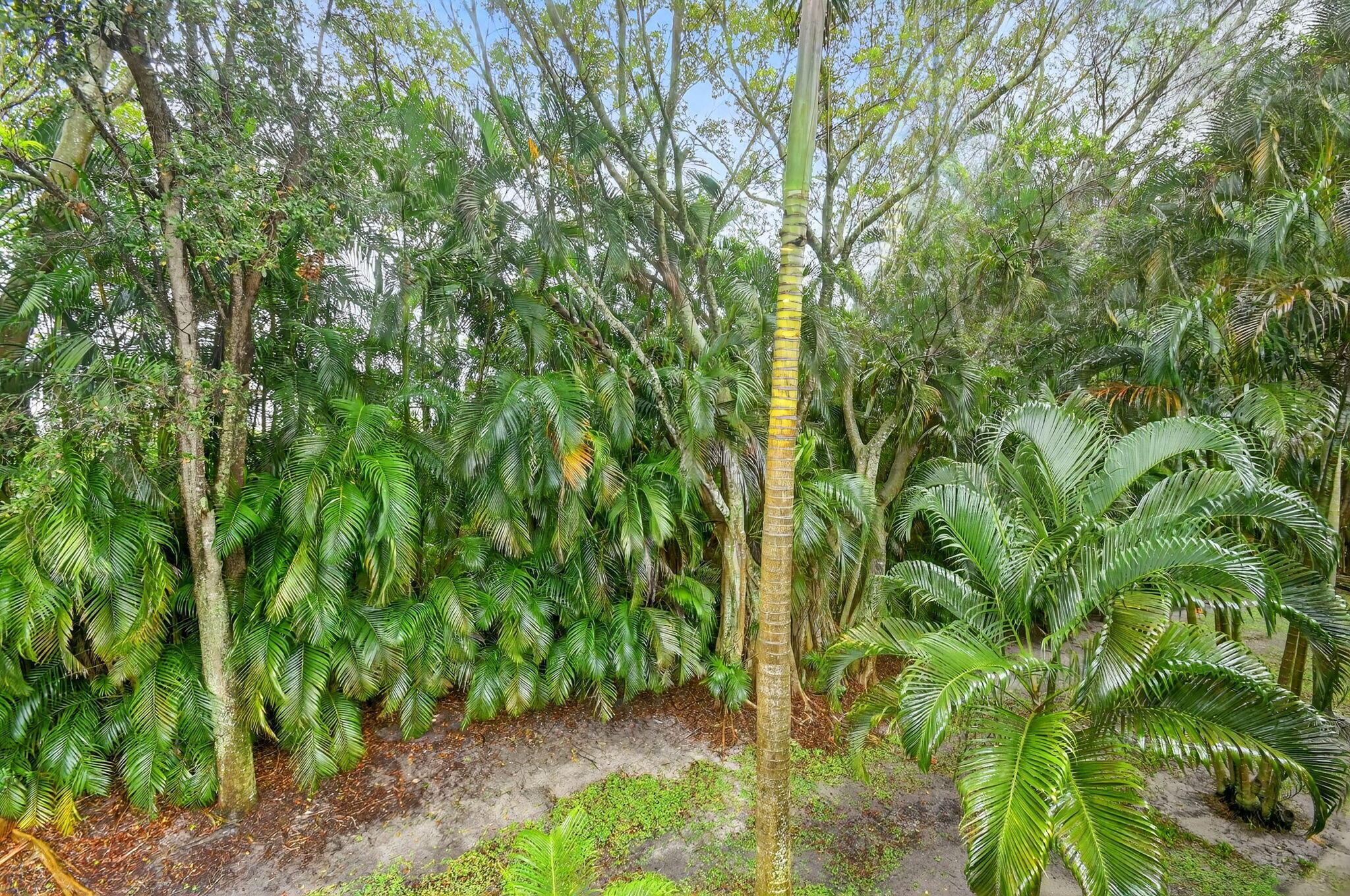 GROVE VILLAGE CONDO - Residential Lease