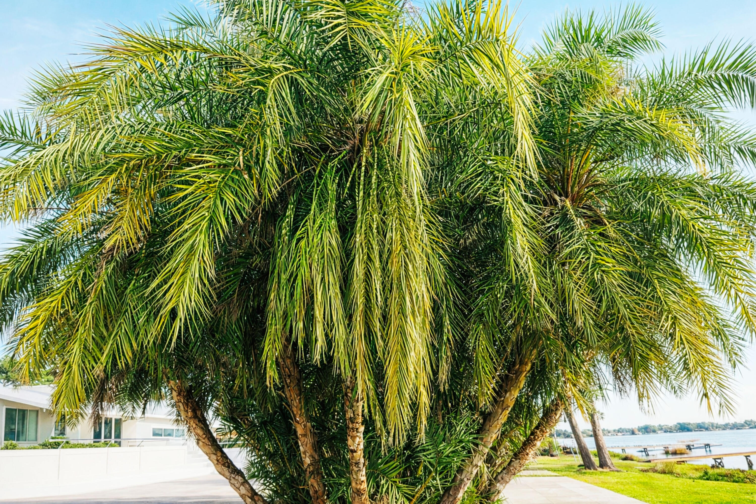 SUNDOWN SUB - Residential