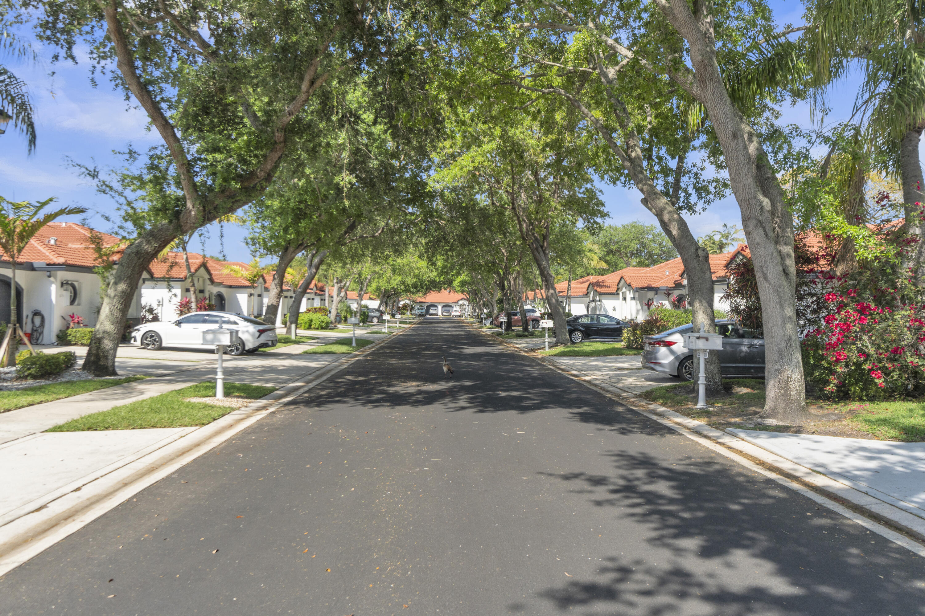 Villa San Remo - Residential