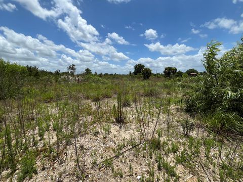 Single Family Residence in Okeechobee FL 19145 270th Street St 5.jpg