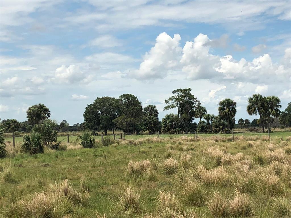 40+ acres in Martin County. No qualifying Owner financing. Includes 8,000 sq ft 2-story-hurricane rated custom steel barn house. Includes 4 aquaculture ponds and exisiting Ag Exemption. Cleared grazing land and more private hidden area behind Oak Hammock. Paved road frontage. Fenced. So many possibilities. This is the last of the properties on Hosanah Lane. hurry