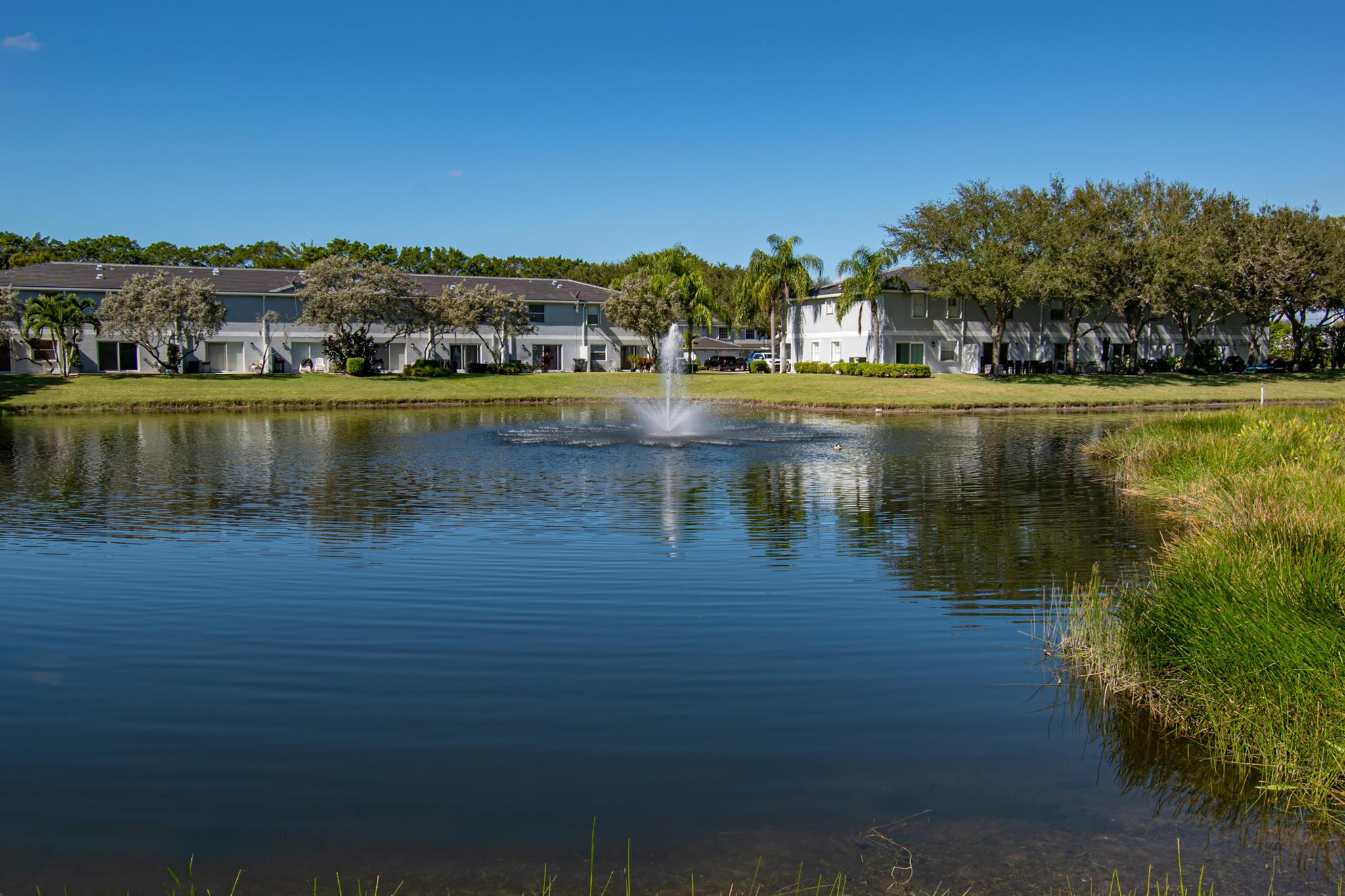 Sierra palms - Residential Lease