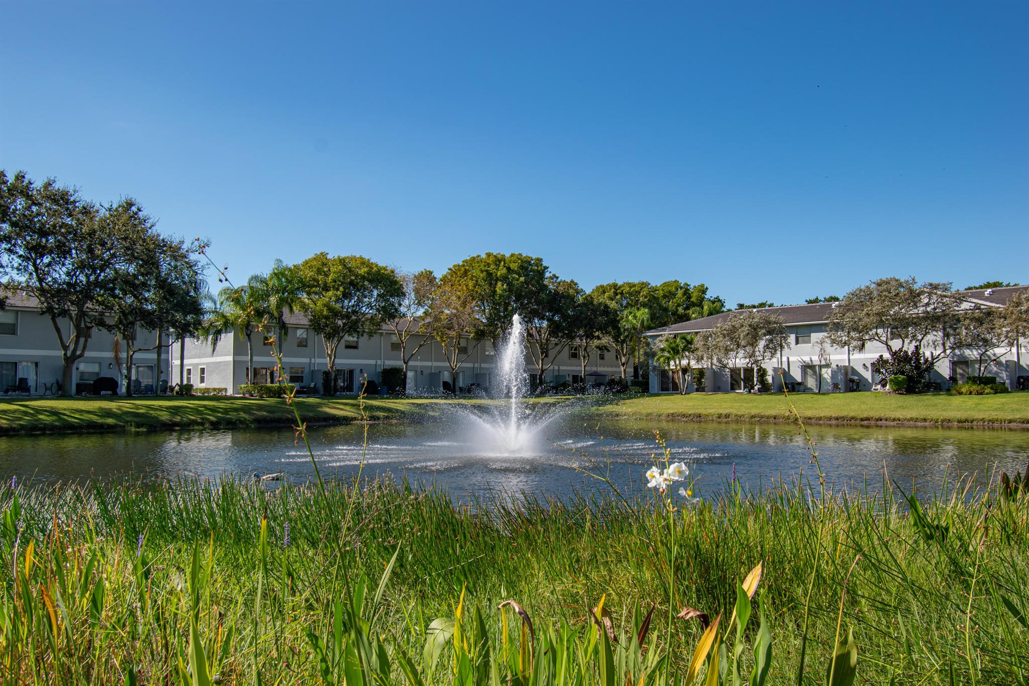 Sierra palms - Residential Lease