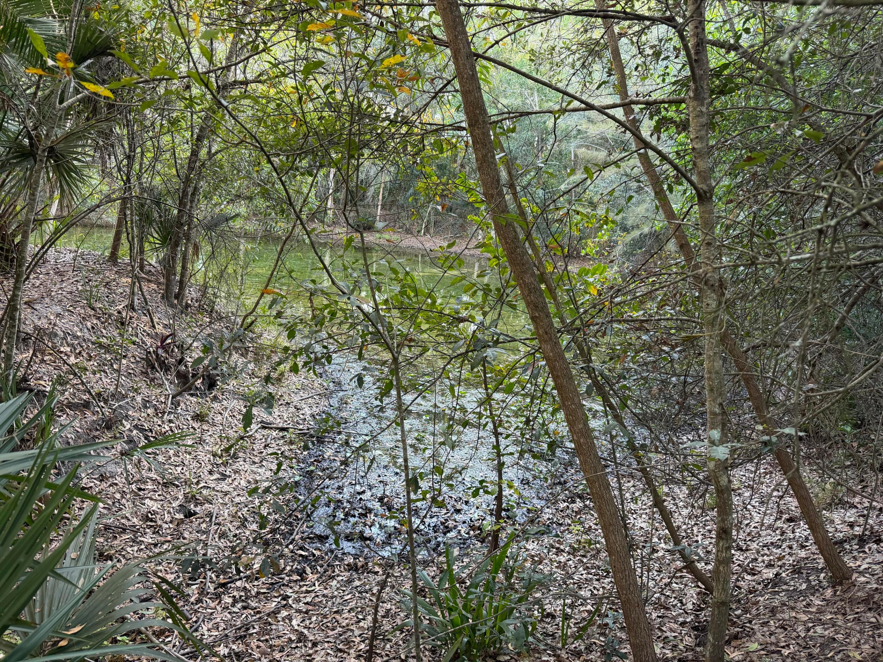 Rustic Ranches - Residential