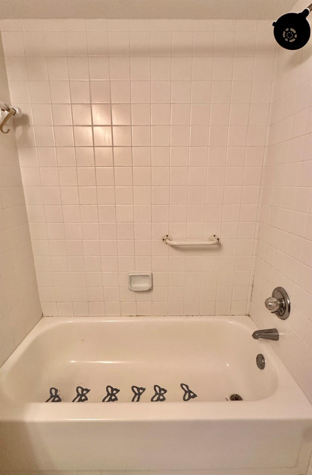 Lakes of Carriage Hills - Residential