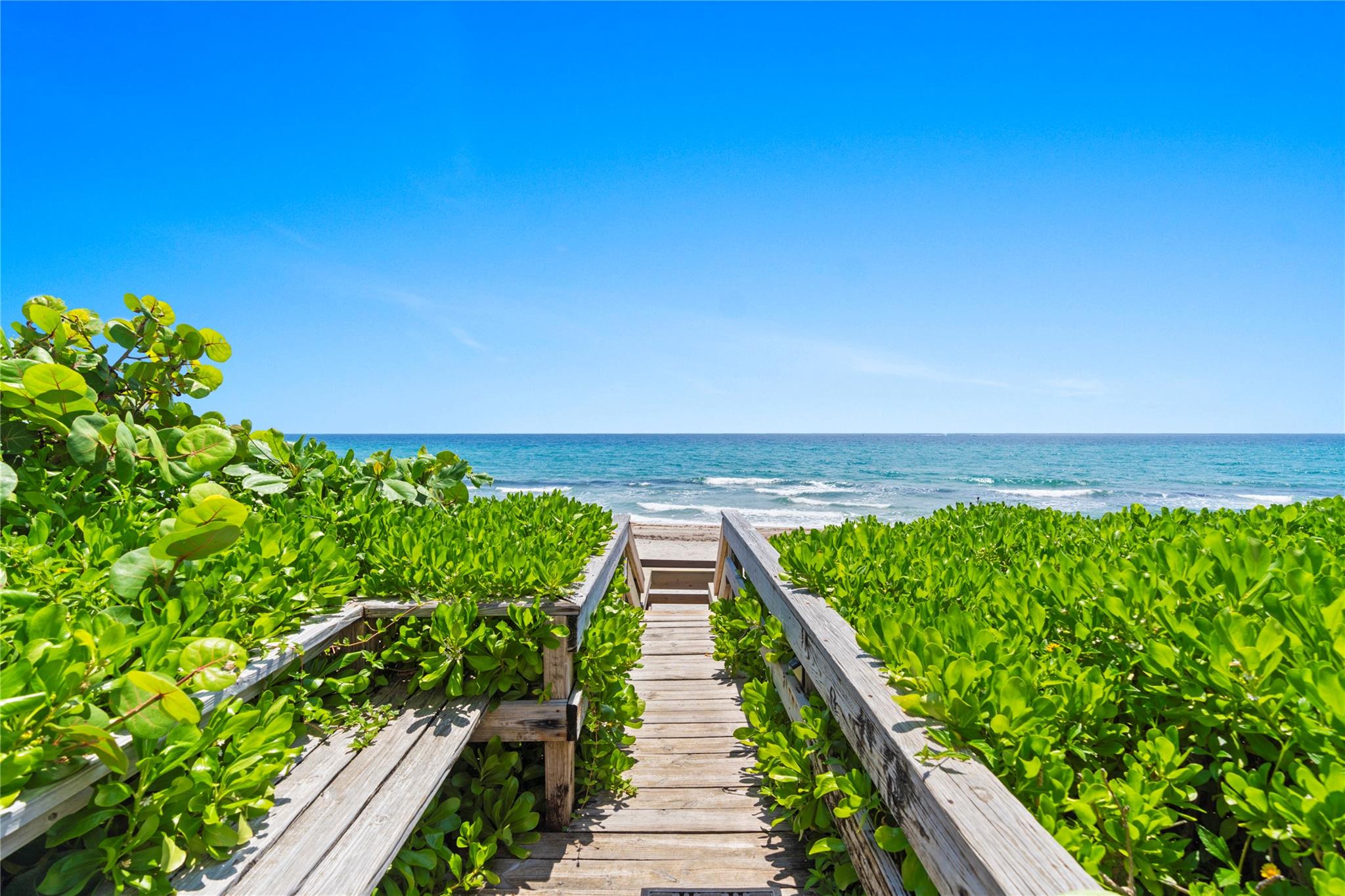 HILLSBORO COLONNADE - Residential