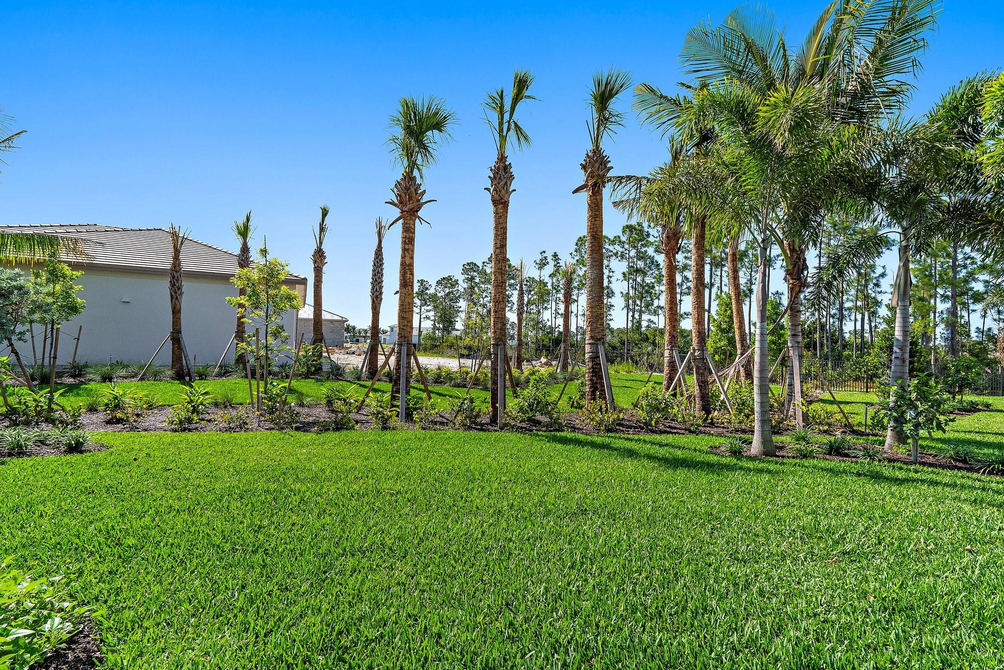 L'Ambiance at Avenir - Residential