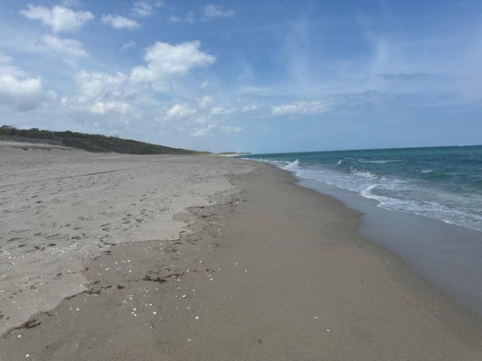 5420 N OCEAN DR APT 1903, RIVIERA BEACH, FL 33404 - Image 10184aab10fda262619c8eea22fa4cd2/4176216593